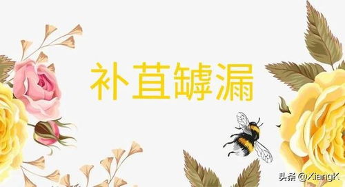 补苴罅漏什么意思?