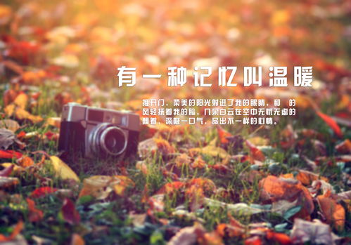 关于珍藏的记忆作文700字10篇