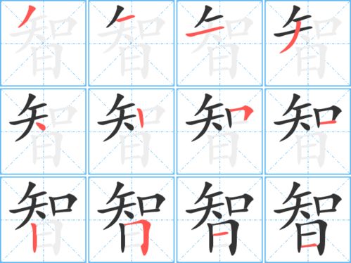 慧字组词100个，智字组词100个