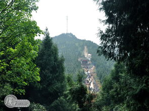 玉龙雪山在哪里个城市