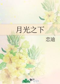 月光之恋小说，月光之恋什么意思