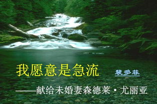 阅读《我愿意是急流》,模仿诗句形式,再造两个诗段,内容是