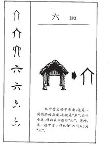 6画的字有哪些?
