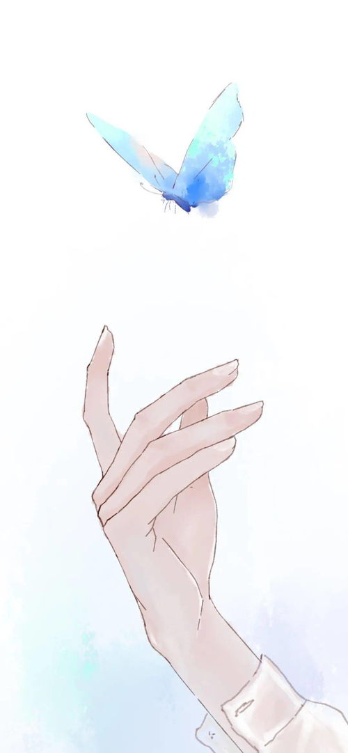 孔子的弟子子由的简介