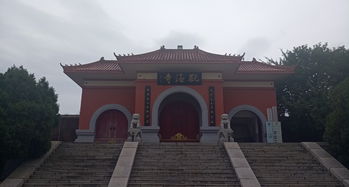 李嘉诚毕业于什么大学?