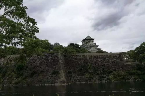 揭秘大坂之战的过程