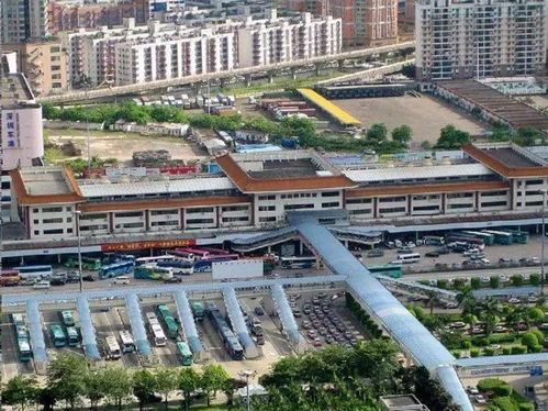 皇岗口岸跨境巴士时刻表，皇岗小学
