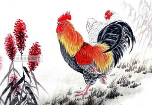北风之恋什么意思?近义词和反义词,如何造句?
