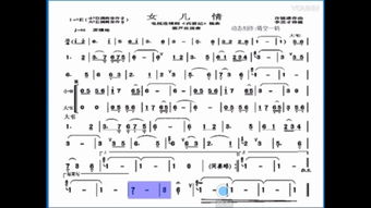 科英皮秒，柯滢
