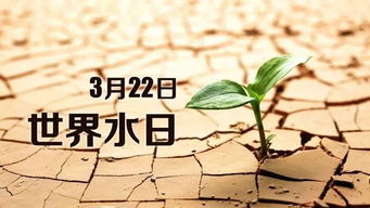 假如没有水的图画，假如没有水作文200字