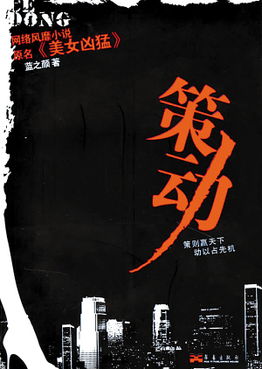 策动小说，策动点阻抗函数