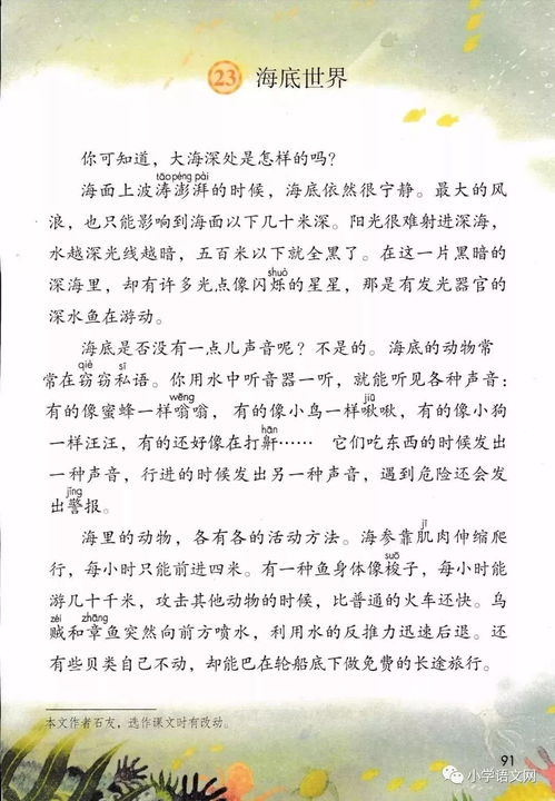 三年级下册语文第三课荷花