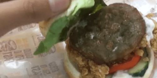 粪肉的介绍