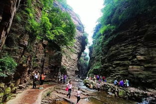 洛阳龙潭大峡谷景点介绍，洛阳龙潭大峡谷门票优惠政策