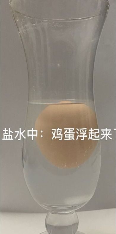 鸡蛋浮在盐水上的原理是什么?