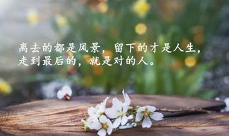 清者自清的经典句子图片，清者自清的语句