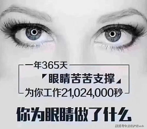 眼的屈光系统由什么组成