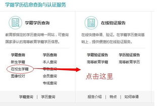 2023高考报名号查询系统，高考报名号查询系统官网