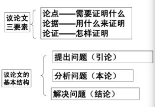 议论文是什么为什么怎么办，记叙文说明文议论文是什么