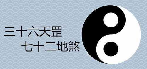 天罡指的是什么