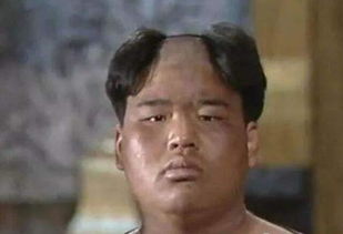 朱子真和猪八戒是一个人吗，朱子真是什么神