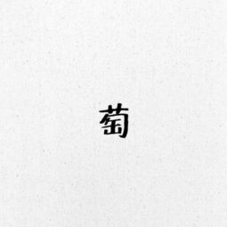 “葡”和“萄”怎么组词?