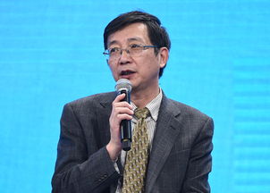 程桦找u盘是哪一集