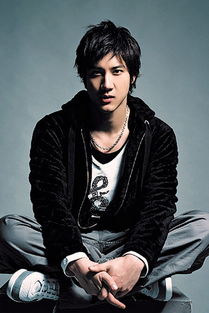 王立宏的职业生涯