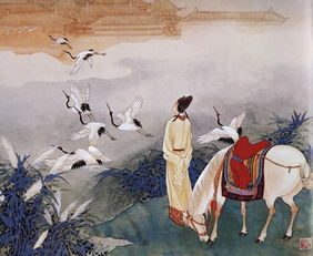 征鸿老师财管讲的怎么样