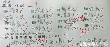 免费的免能组什么词