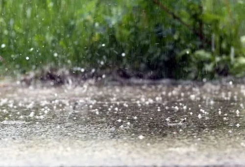 夏天的雨诗句 古诗，夏天的雨作文300字