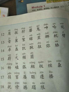 骆字能组什么词语啊?
