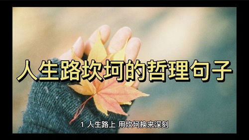 坎坷怎么读