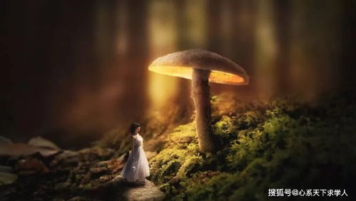 忽略反义词