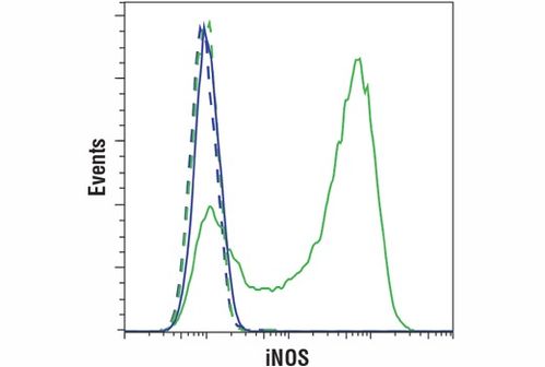inos是什么意思，inositol