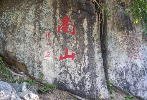 琼崖纵队诞生和战斗过的地方是哪里