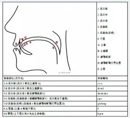 翘舌音的字一共有多少个，串是平舌音还是翘舌音的字