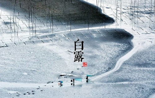 宛在水中坻的意思