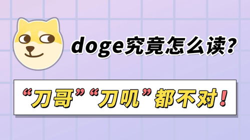 瞻怎么读拼音，睨怎么读