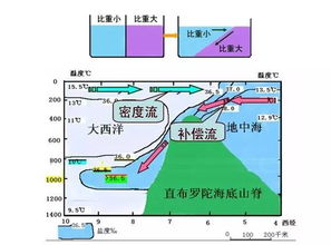北印度洋季风洋流，印度洋的季风洋流