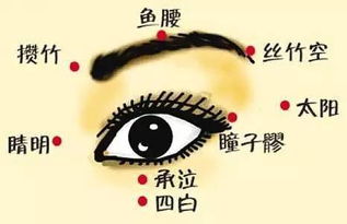 鱼腰经络不通说明什么