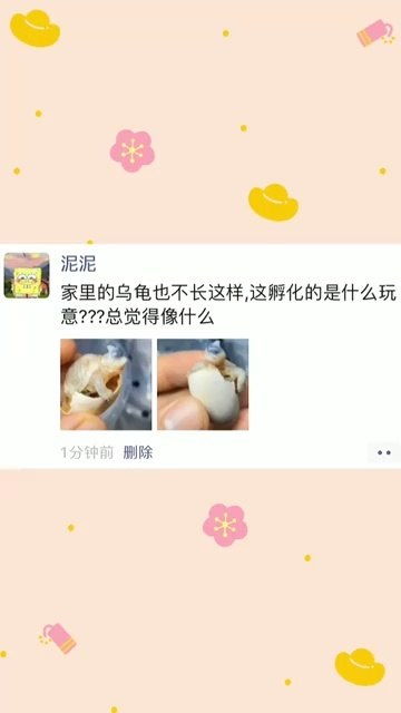 创业孵化是什么意思，上市孵化是什么意思