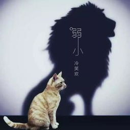 不断斗争来帮助弱的英语翻译