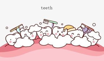 tooth牙齿的复数