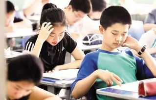 内蒙古小学生省级竞赛有哪些项目