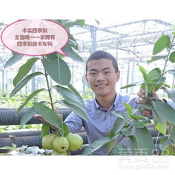 丰实百货商行，丰实及第臻品