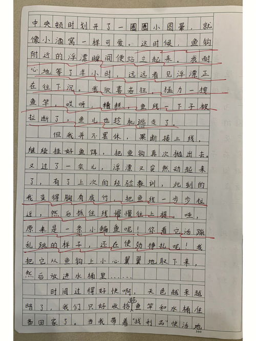 我的家乡作文450字四年级