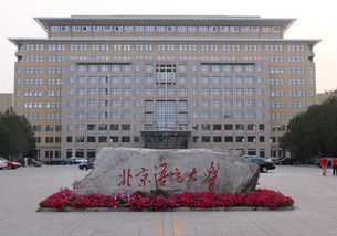 北京语言大学计算机毕业是什么学位