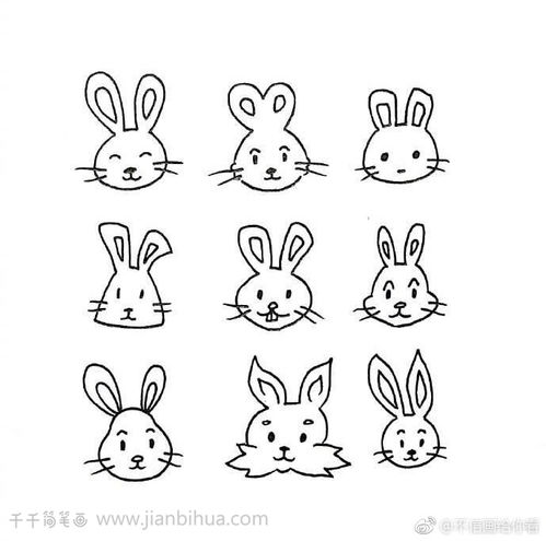 画小白兔简单又可爱的画法
