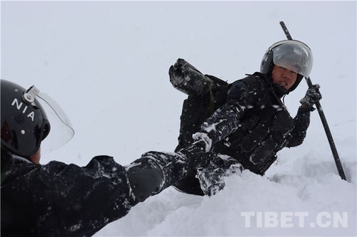 亚热带季风气候分布图，亚热带常绿阔叶林